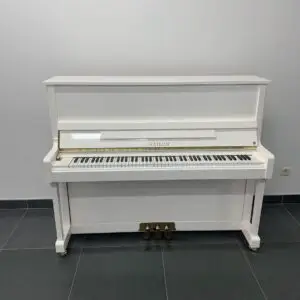 Hailun Economy 120 wit piano