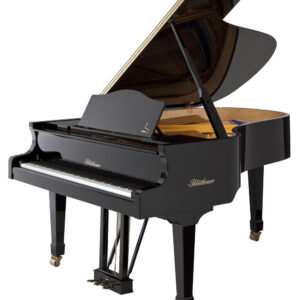 Blüthner Model 6