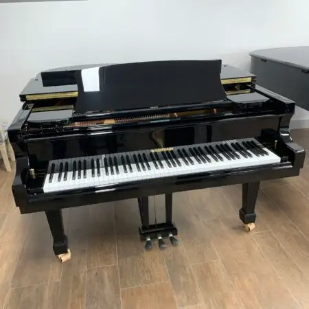 W.Hoffmann T177