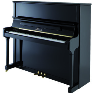 Haessler H132
