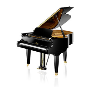 C. Bechstein Academy A 175