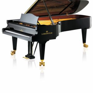 C. Bechstein D-282