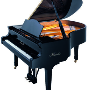 Haessler H175