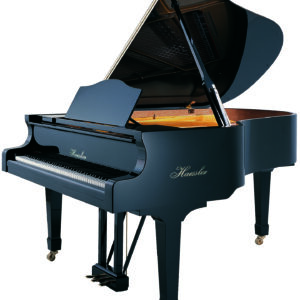 Haessler H186