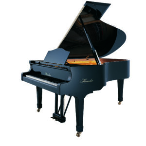 Haessler H210