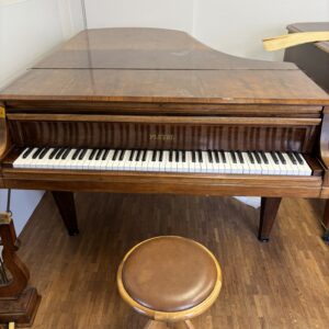 Pleyel 195