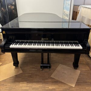 Berger Förster model 215