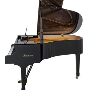 Blüthner Model 10