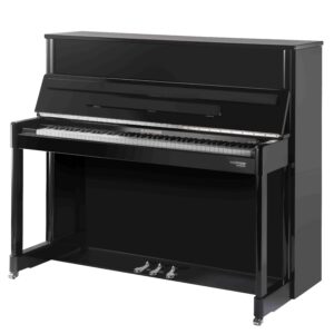W. Hoffmann Professional P 120