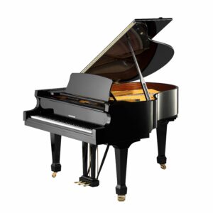 W. Hoffmann Tradition T 177